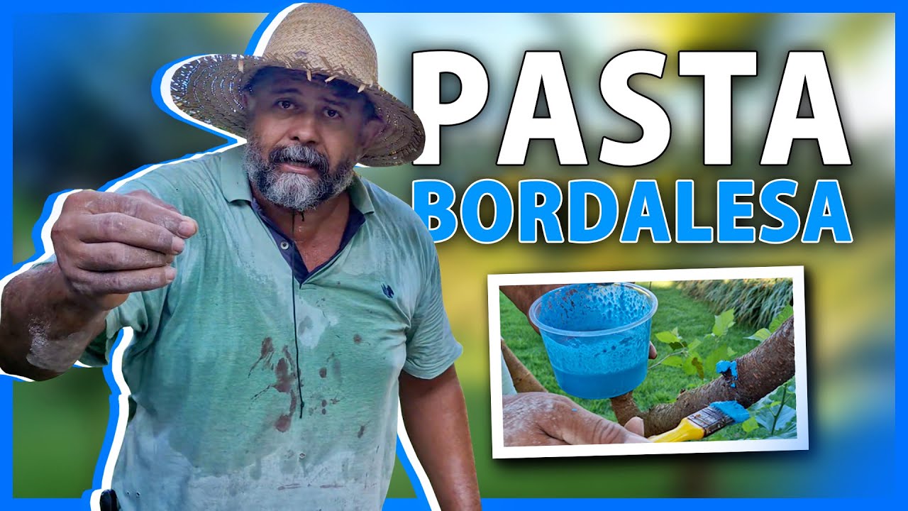 O que fazer após a poda nas plantas e frutas