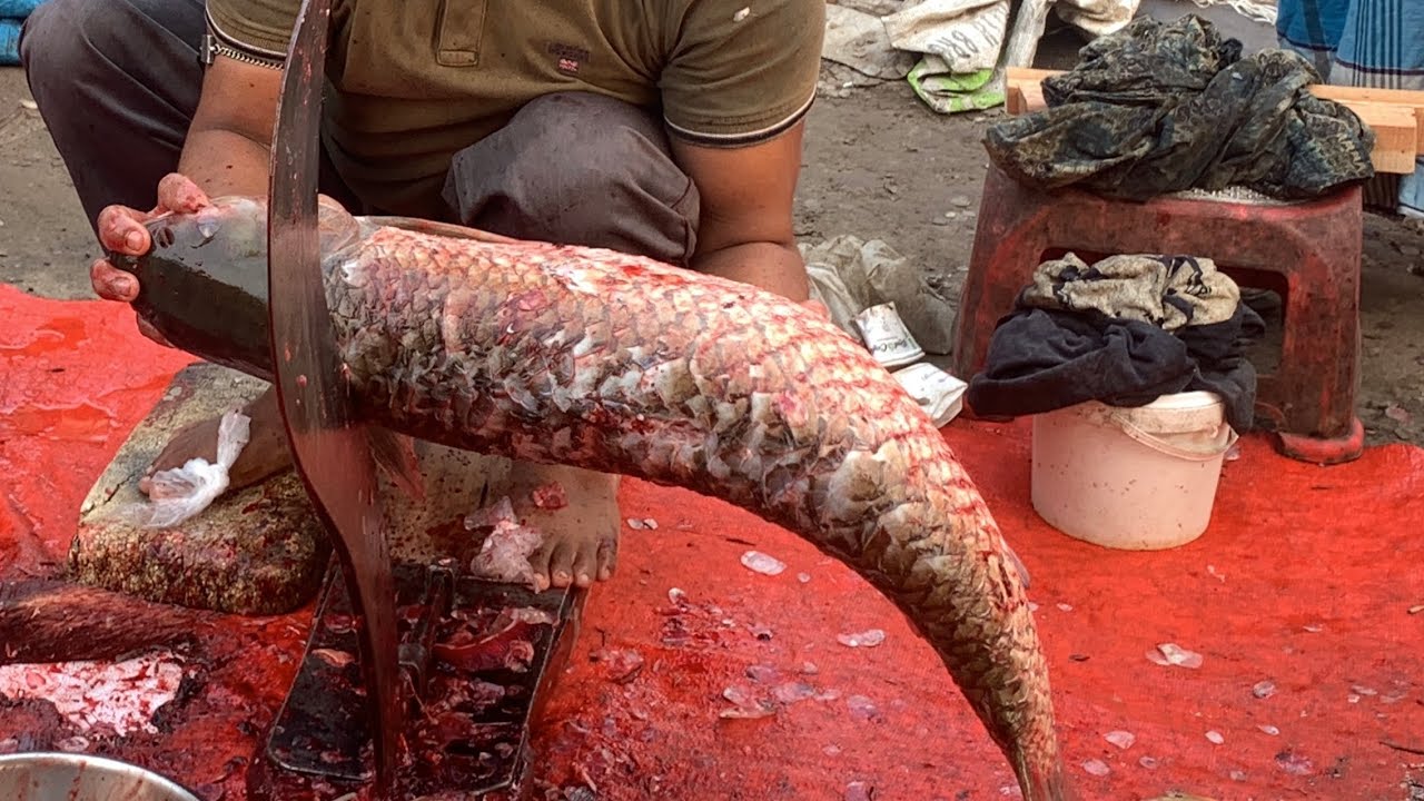 popular village Gresscarp fish cutting live skills by expert fish cutter in Fishmarket 