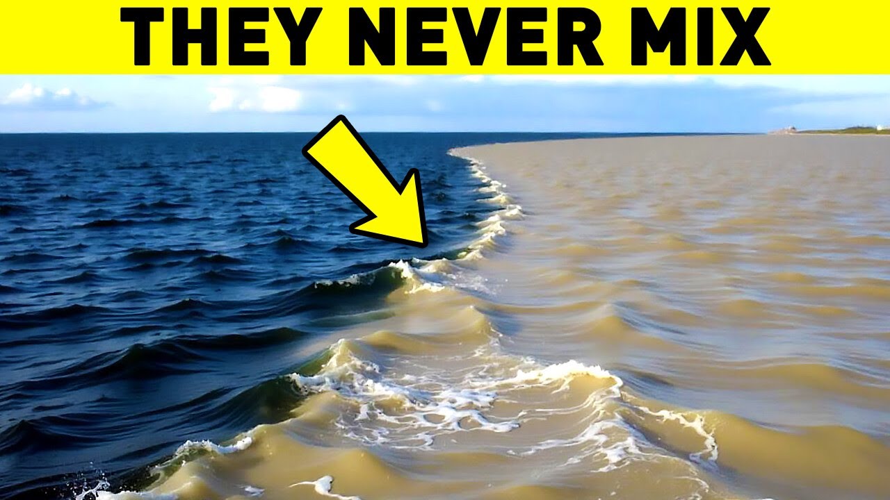 Why TWO OCEANS Meet but Never Mix