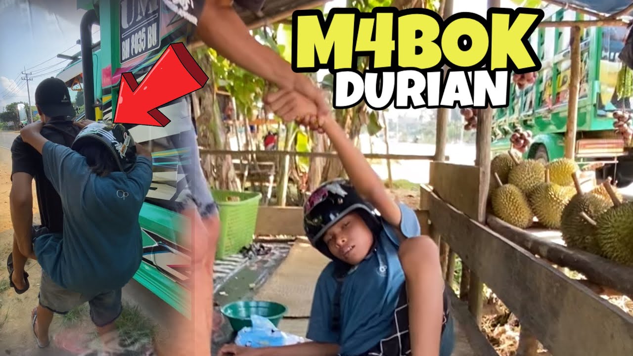 Sampe begini..?? M4Bok durian pulang di gendong