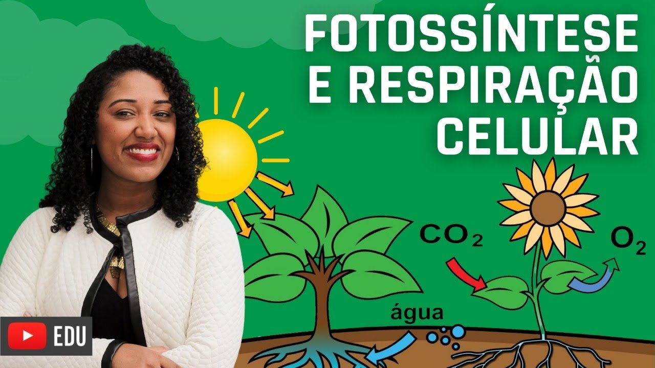 Fotossíntese e Respiração celular - Ensino Fundamental