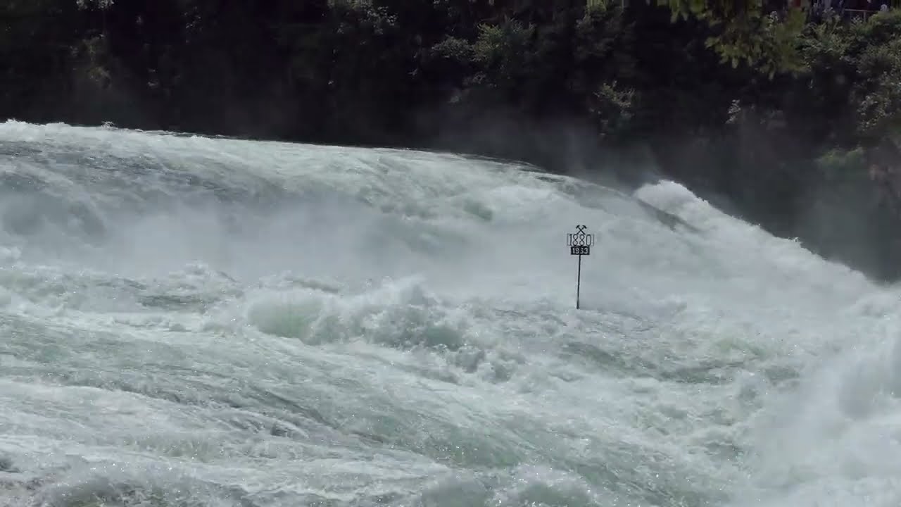 Hochwasser am Rheinfall - 13.06.2024