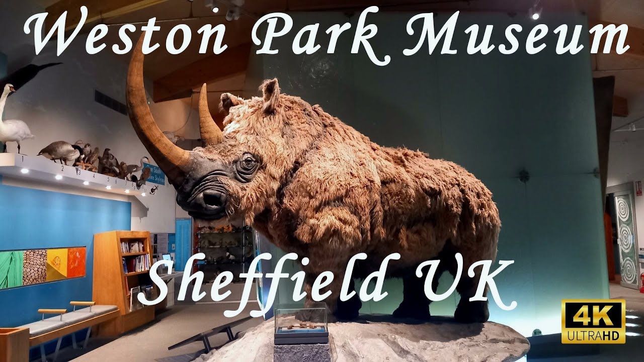 Weston Park Museum Sheffield UK