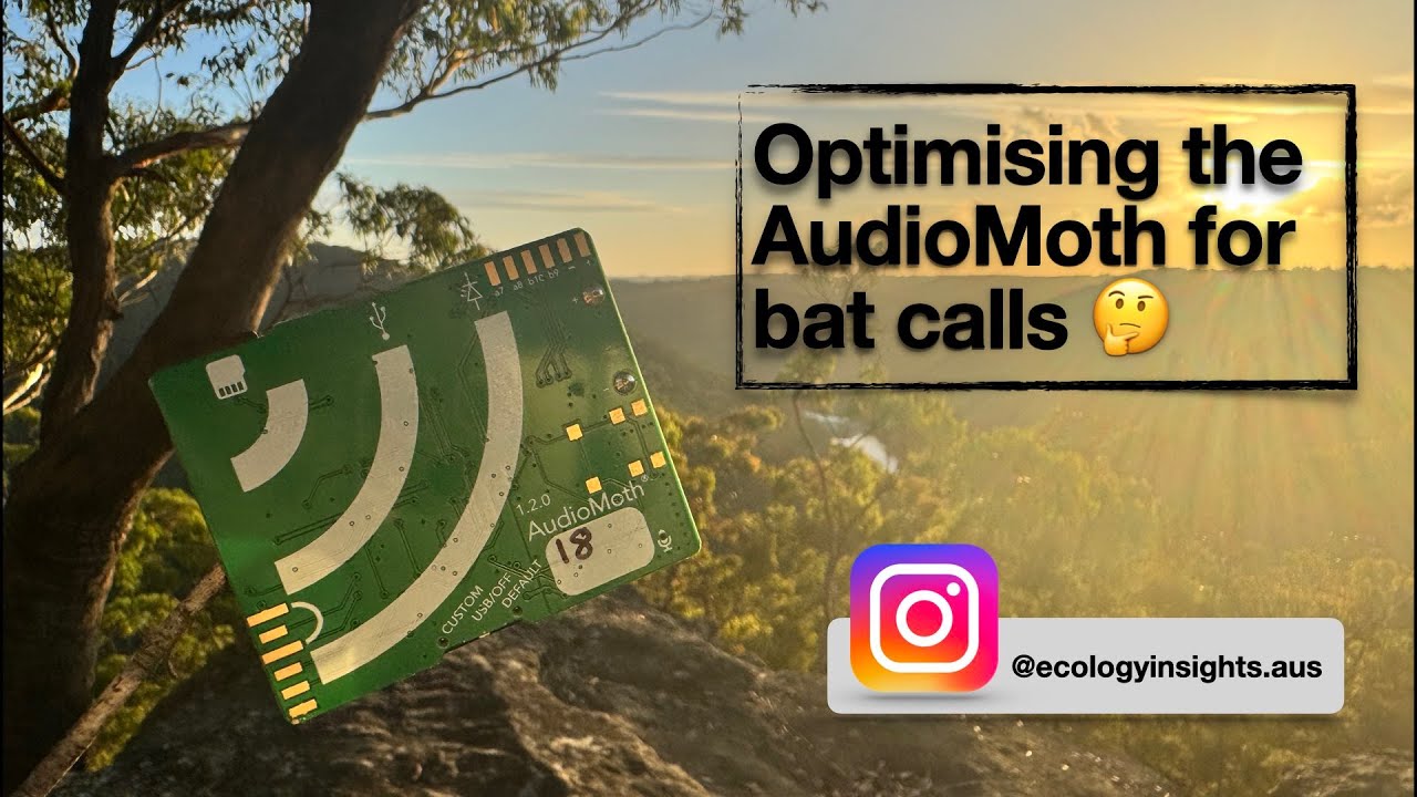 Optimising AudioMoth settings for recording bats