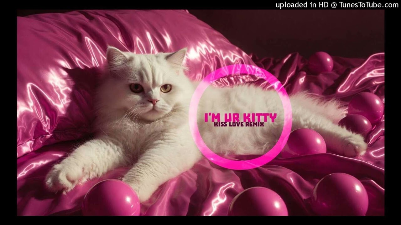 I'm your Kitty