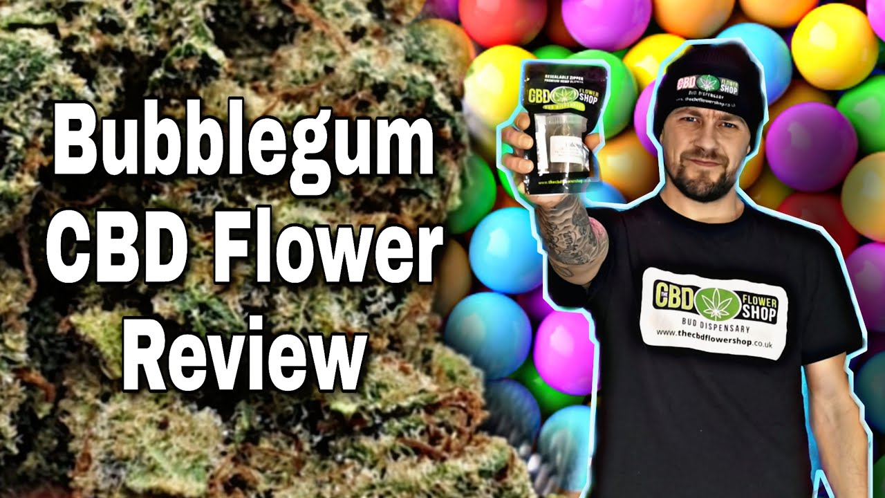 Bubblegum CBD flower review - The CBD flower shop