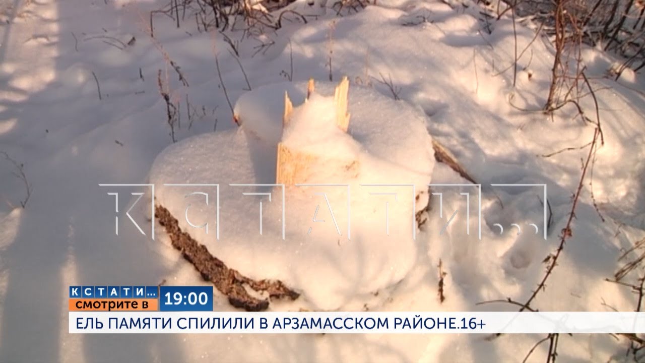 Смотрите сегодня в 19.00 на 