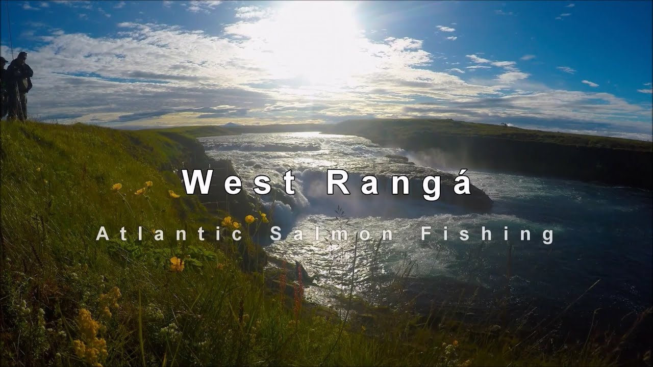 West Ranga  - Salmon Fishing in Iceland