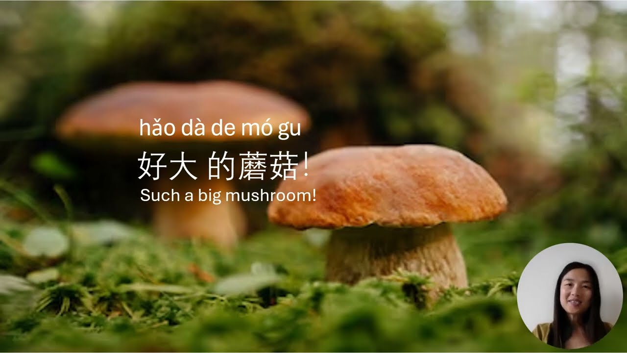 采蘑菇 Pick Mushrooms | Learn Mandarin Chinese with Hu Laoshi