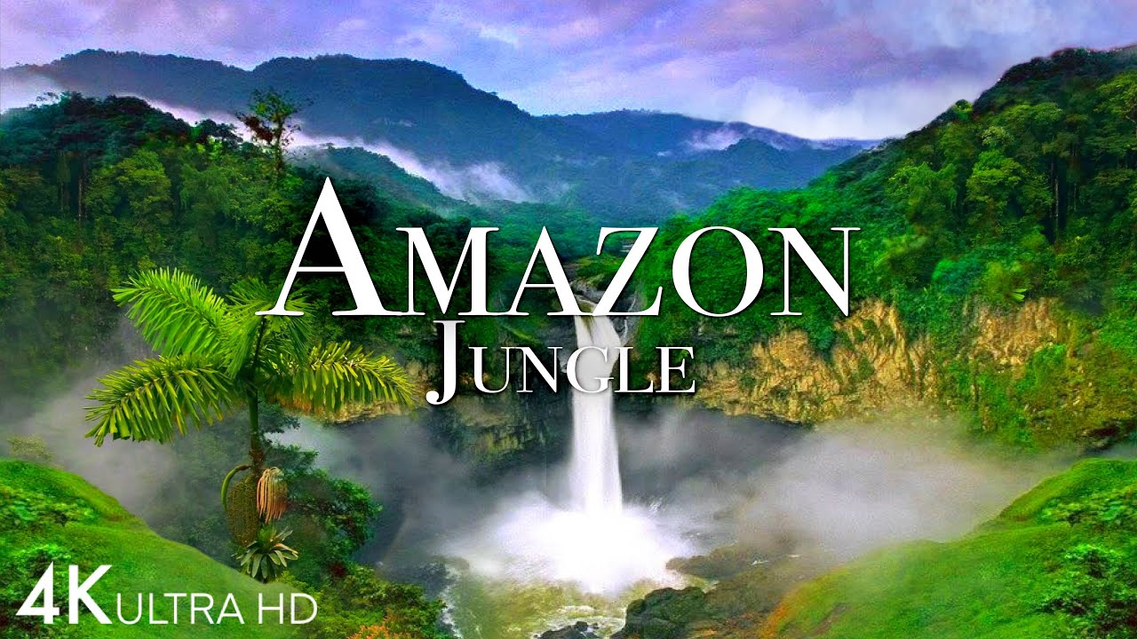 Amazon Jungle 4K - The World&rsquo;s Largest Tropical Rainforest | Jungle Sounds | Scenic Relaxation Film