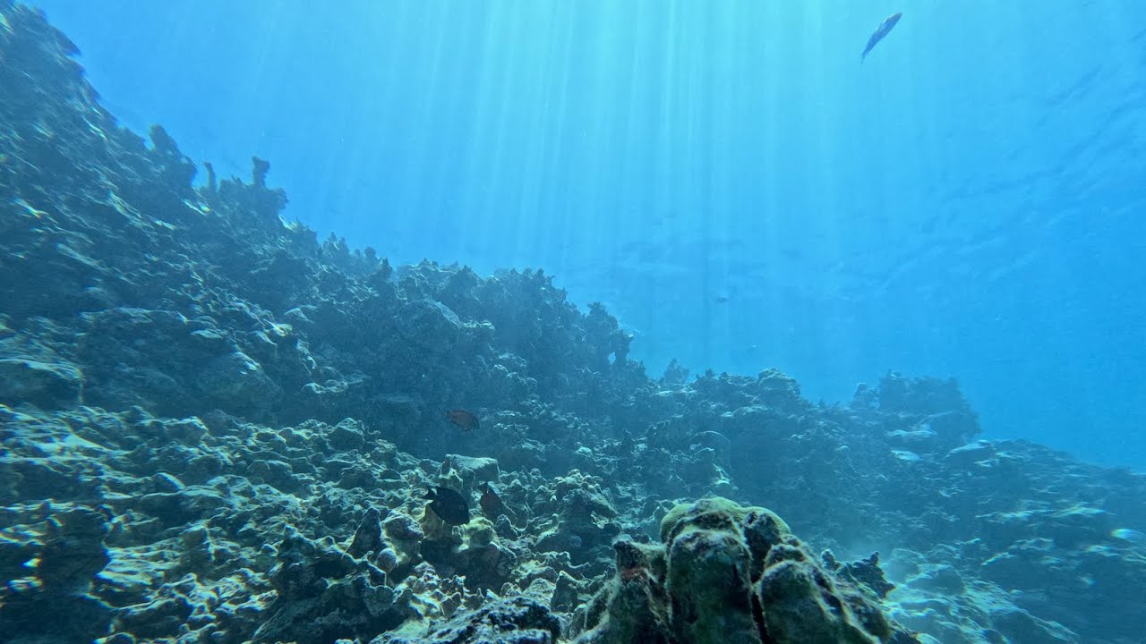 Spearfishing Crystal Clear Water in Hawaii