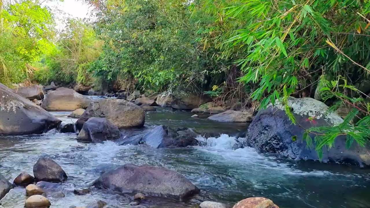 Steady River Flow Ambience For Calm Focus & Clear Creative Energy 4K • 1 Hour River Stream Ambience