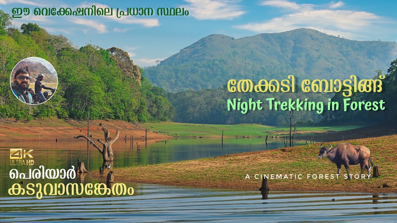 Thekkady Boating | Night trekking in Periyar Tiger Reserve | Jungle Scout