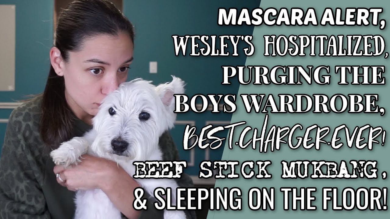 VLOG | Mascara alert, Wesley's in the hospital, and the best charger ever!
