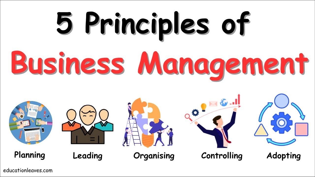 Top 5 Principles of Business Management Explained Simply #managementprinciples