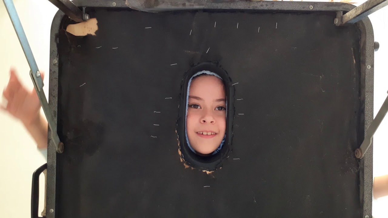 אתגר הדיגדוגים