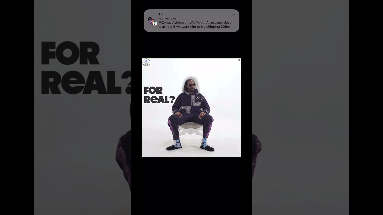 Why you need this CannaMold kit