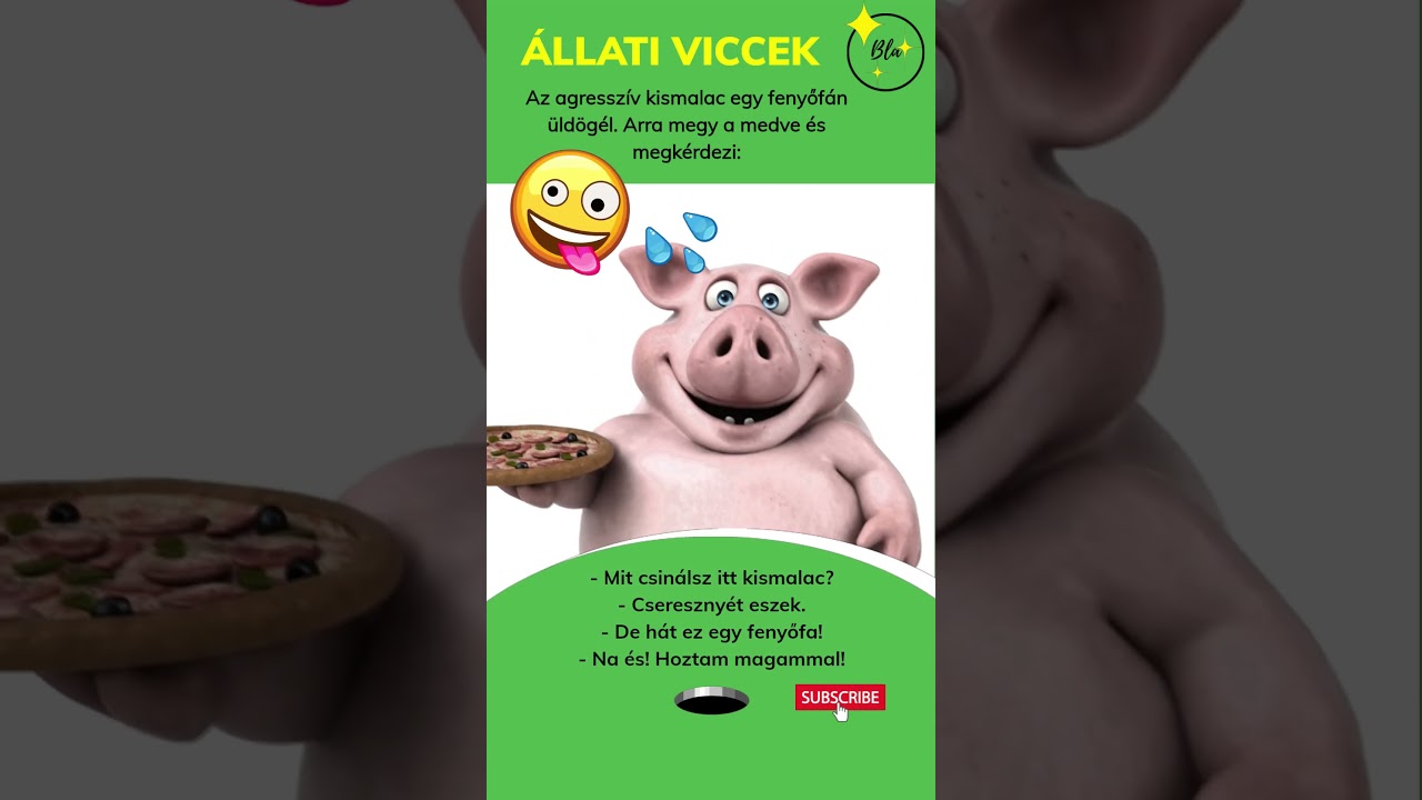 Az agressz&iacute;v kismalac egy fenyőf&aacute;n &uuml;ld&ouml;g&eacute;l. #tiktok  #vicces #viccesvide&oacute;k #aranyos #kedves #po&eacute;nok