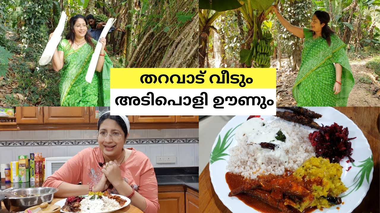 കുടുംബ വീട്ടിലെ കൃഷി തോട്ടവും ഒരു നാടൻ ഊണും ||  Visit to my Village