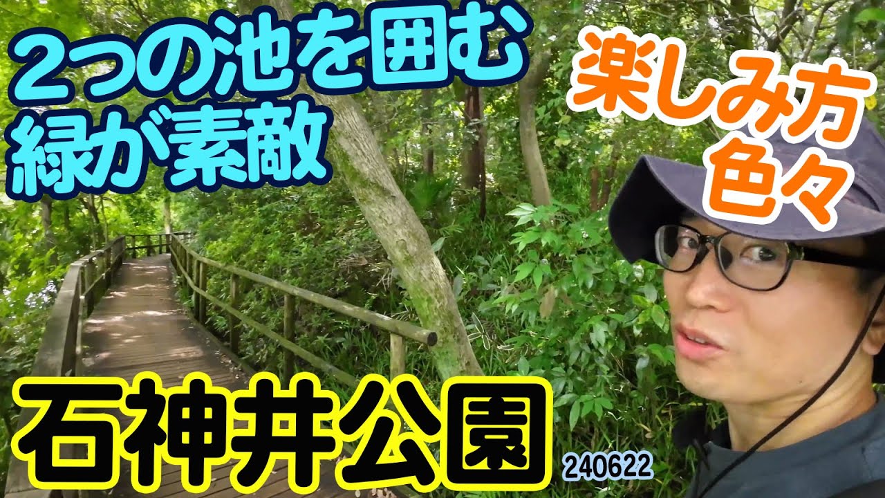 『石神井公園』東京都練馬区石神井台：二つの池周りの自然をたっぷり楽しむ！