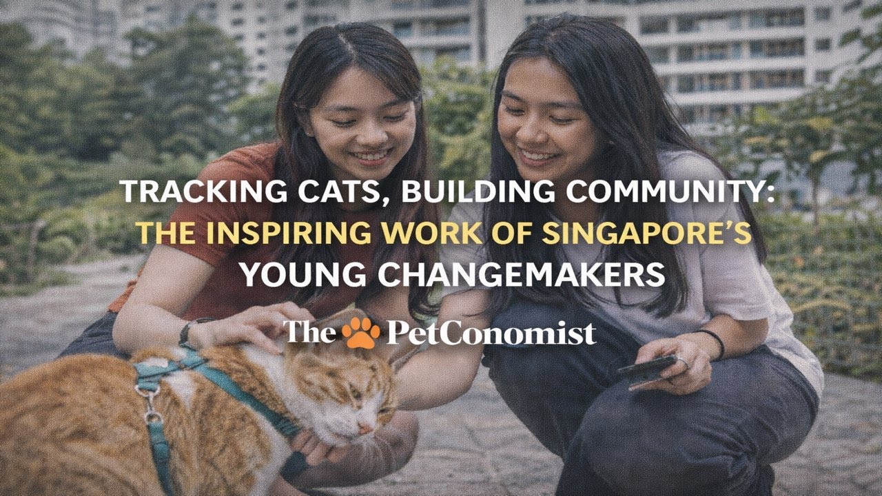 How Singapore Youth Are Finding Purpose — Through Community Cats, Health Tech and Inclusion