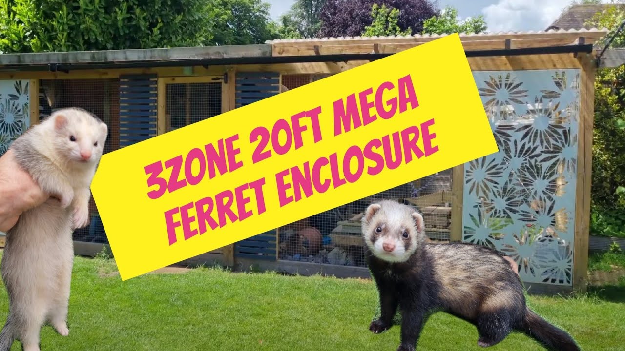 3 Zone 20ft Mega Ferret Enclosure Tour