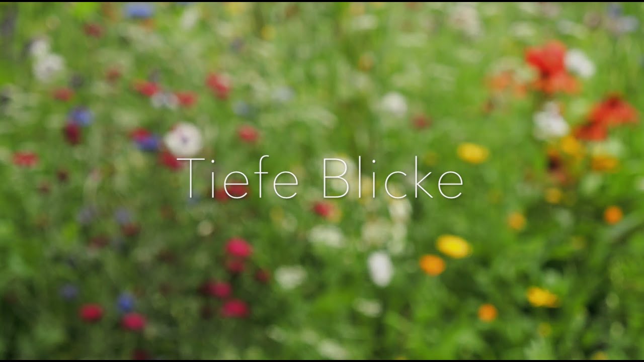 TIEFE BLICKE - (meditative Naturbetrachtungen)