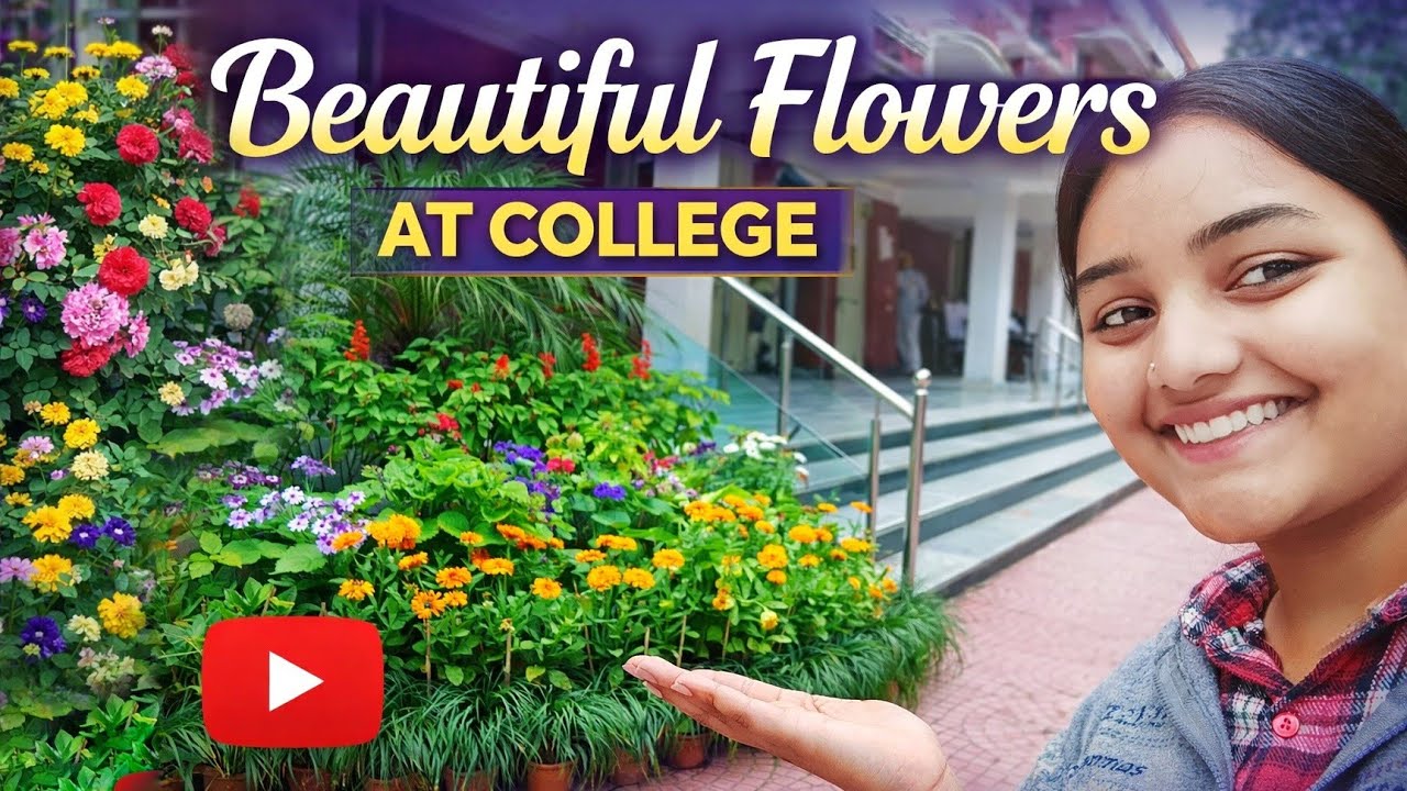 Beautiful flowers at college 💐(29/365)