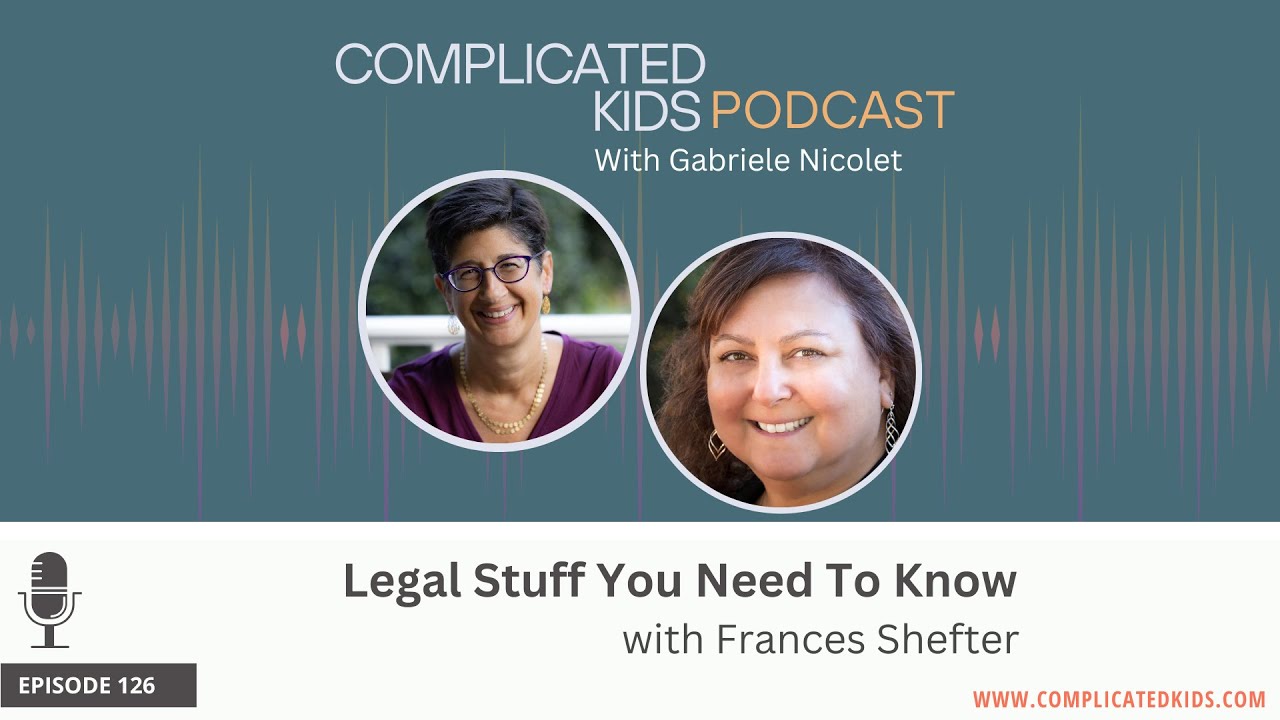 Legal Stuff You Need To Know with Frances Shefter