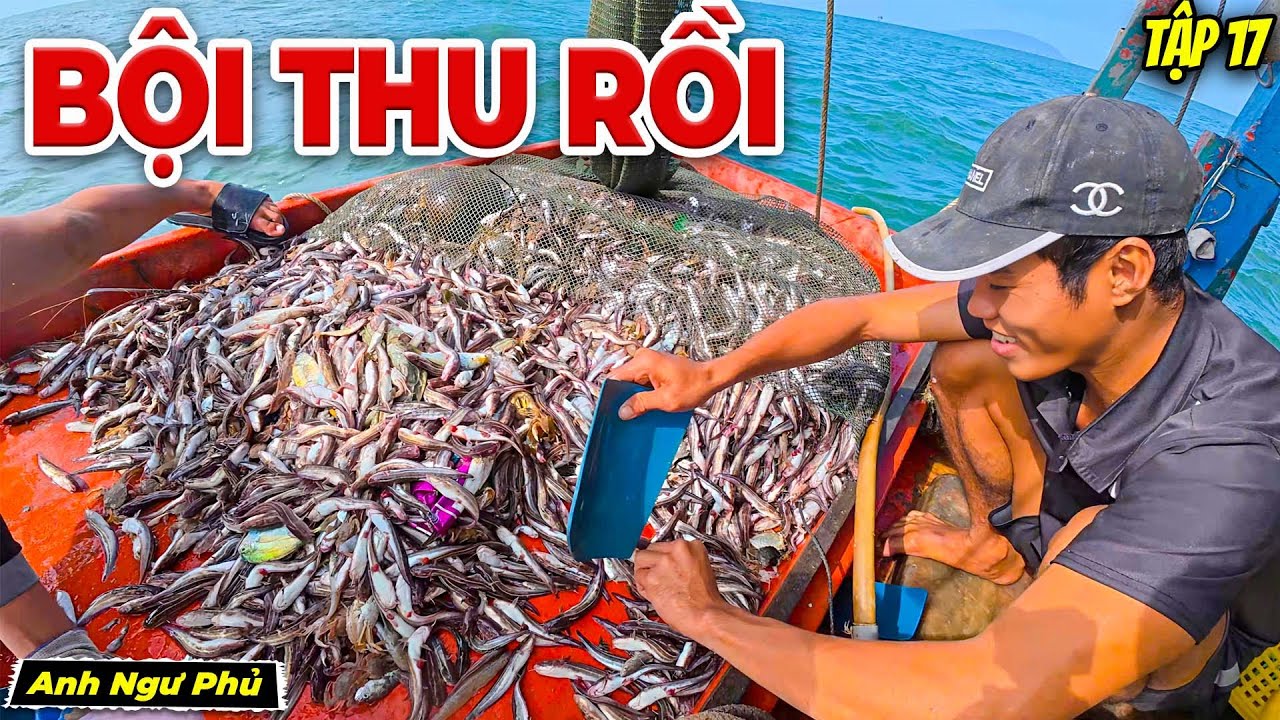 Ngư Dân Trúng Mánh Mẻ Cá Ngát - Ra Khơi Mùa Gió Bấc Tập 17 | Anh Ngư Phủ