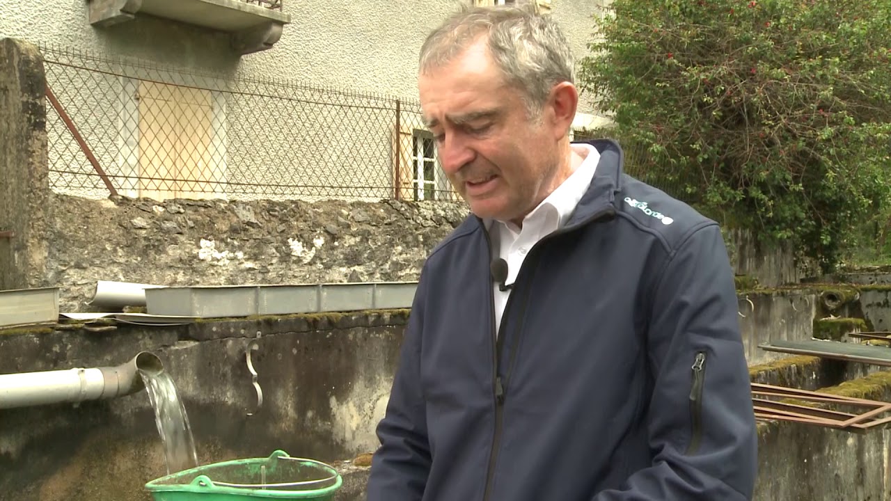 Reportage : l'élevage de truites dans les Pyrénées