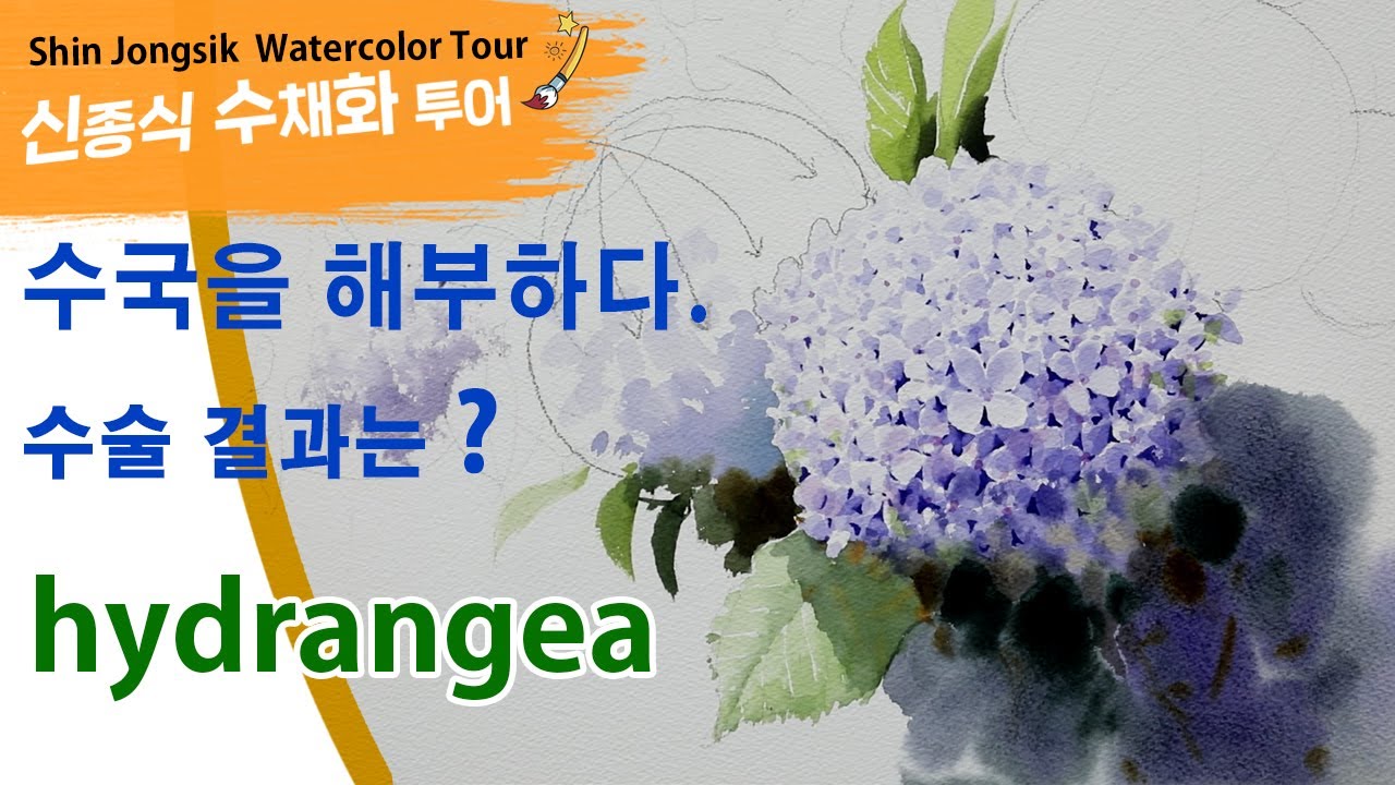신종식수채화투어[수국의 해부학]watercolor painting TV foundation 水彩画, 水彩畫, Aquarelle, акварельный, hydrangea