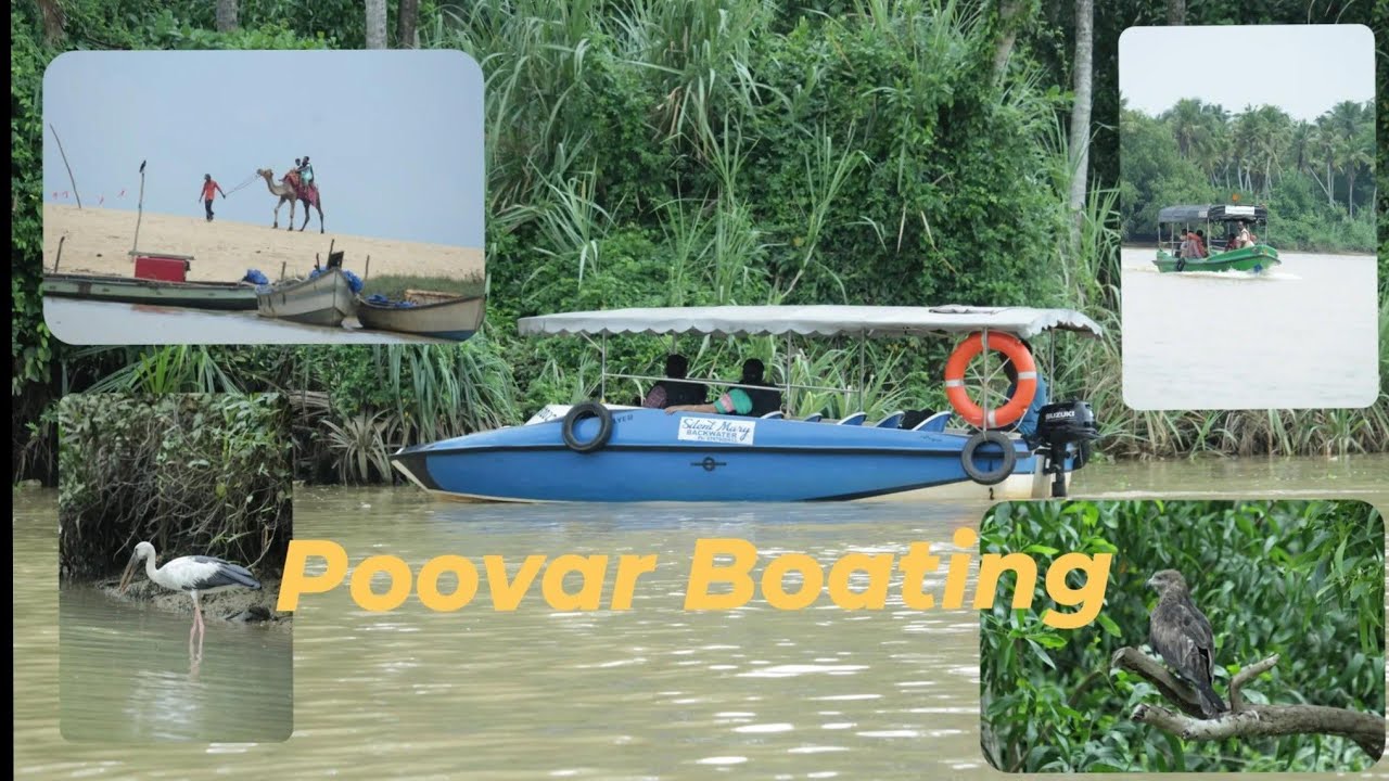 Poovar Island Boating 🚤 | Poovar backwater boating 🚤 #poovar #poovarisland
