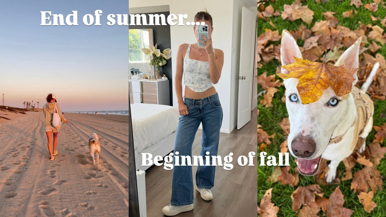 Пляжные дни, Юки принимает ванну, гуляет осенью, празднует свидания и многое другое!