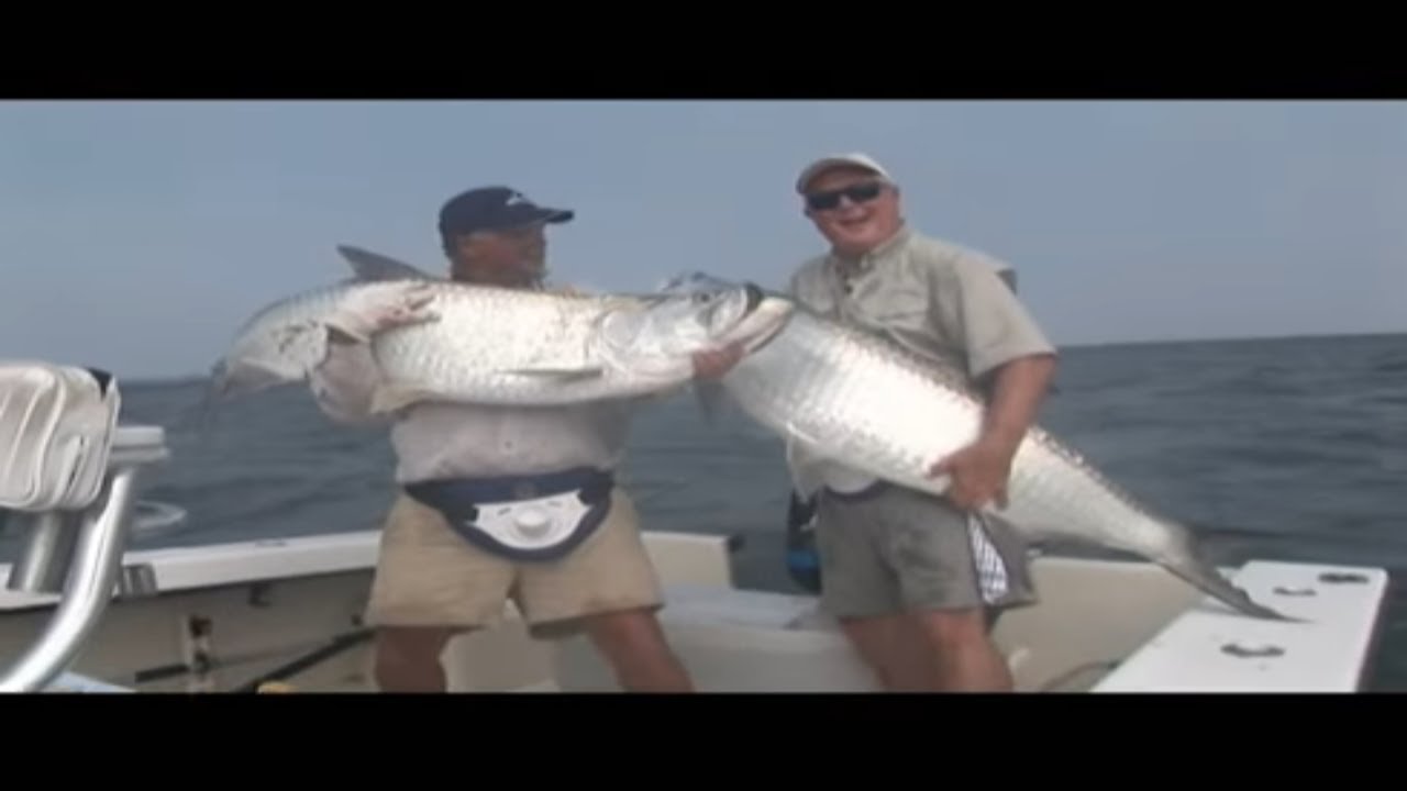 BIG Georgia Tarpon with Capt. Mark Noble off Saint Simons Island GA