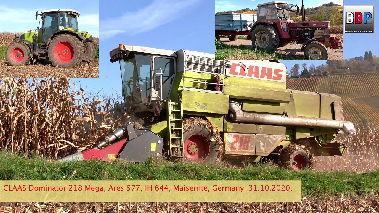 CLAAS Dominator 218 Mega, Ares 577 ATZ, IH 644 🌽 Mais Dreschen / Maize Harvesting 🌽, Germany. #2