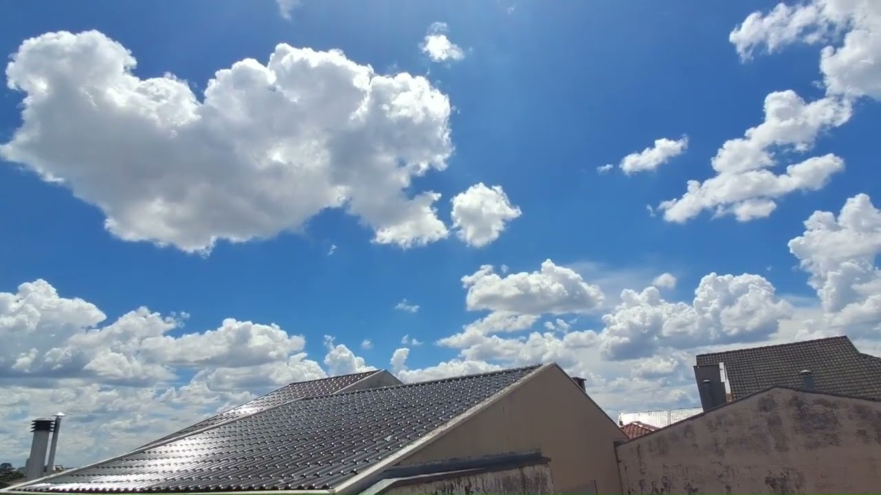 A linda criação   17 2 26 Curitiba