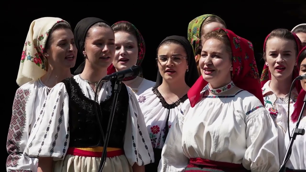 Ansamblul ICOANE -   MUZICĂ TRADIȚIONALĂ DIN BISTRIȚA-NĂSĂUD