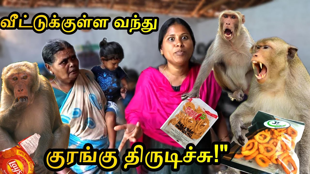 திடீர்னு வீட்டுக்குள்ள குரங்கு புகுந்துருச்சு என்ன பண்றதுனே தெரியல 🐒 indiakutty 