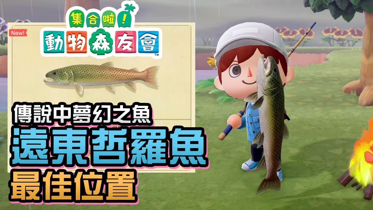傳說中夢幻之魚「遠東哲羅魚」最佳位置，價值$15,000《集合啦! 動物森友會》攻略