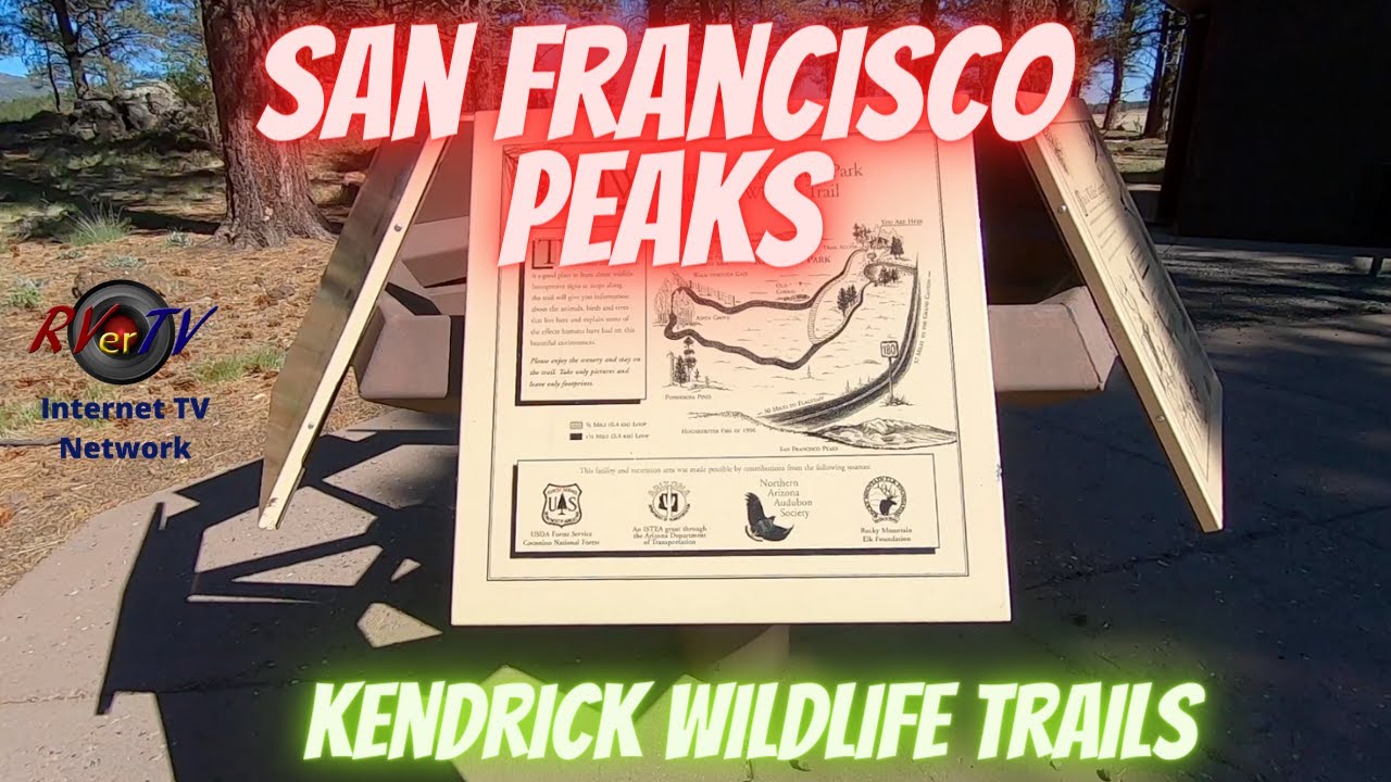 San Francisco Peak Mountains - Coconino National Forest -Kendrick Wildlife Trails