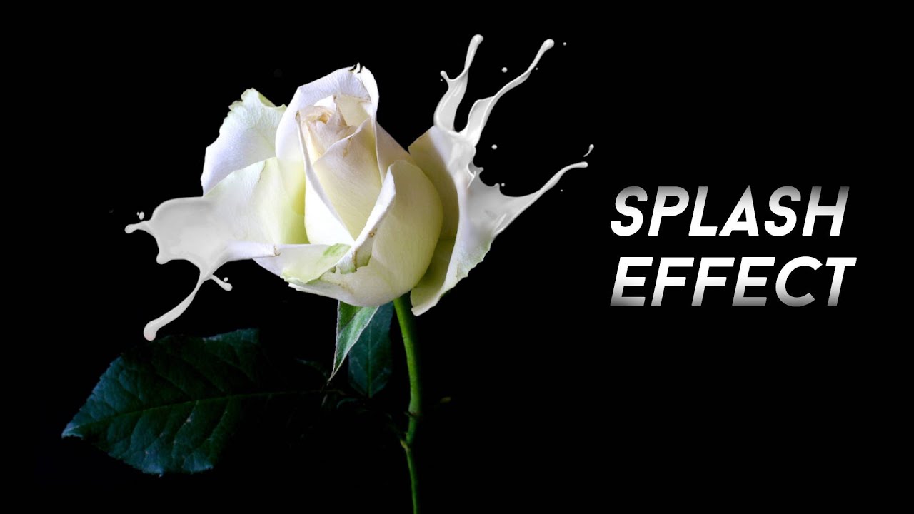 GIMP Tutorial : Liquid Splash Flower Photo Manipulation
