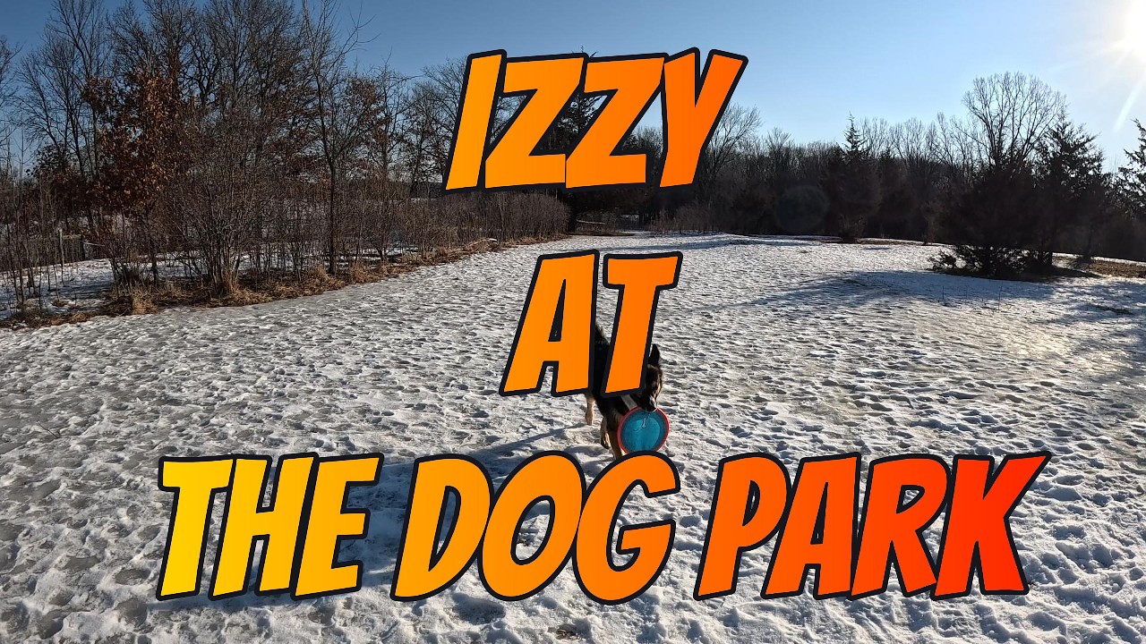 Izzy’s Icy Dog Park Day ❄️ Frisbee Fetch + Nature Walk + New Friends