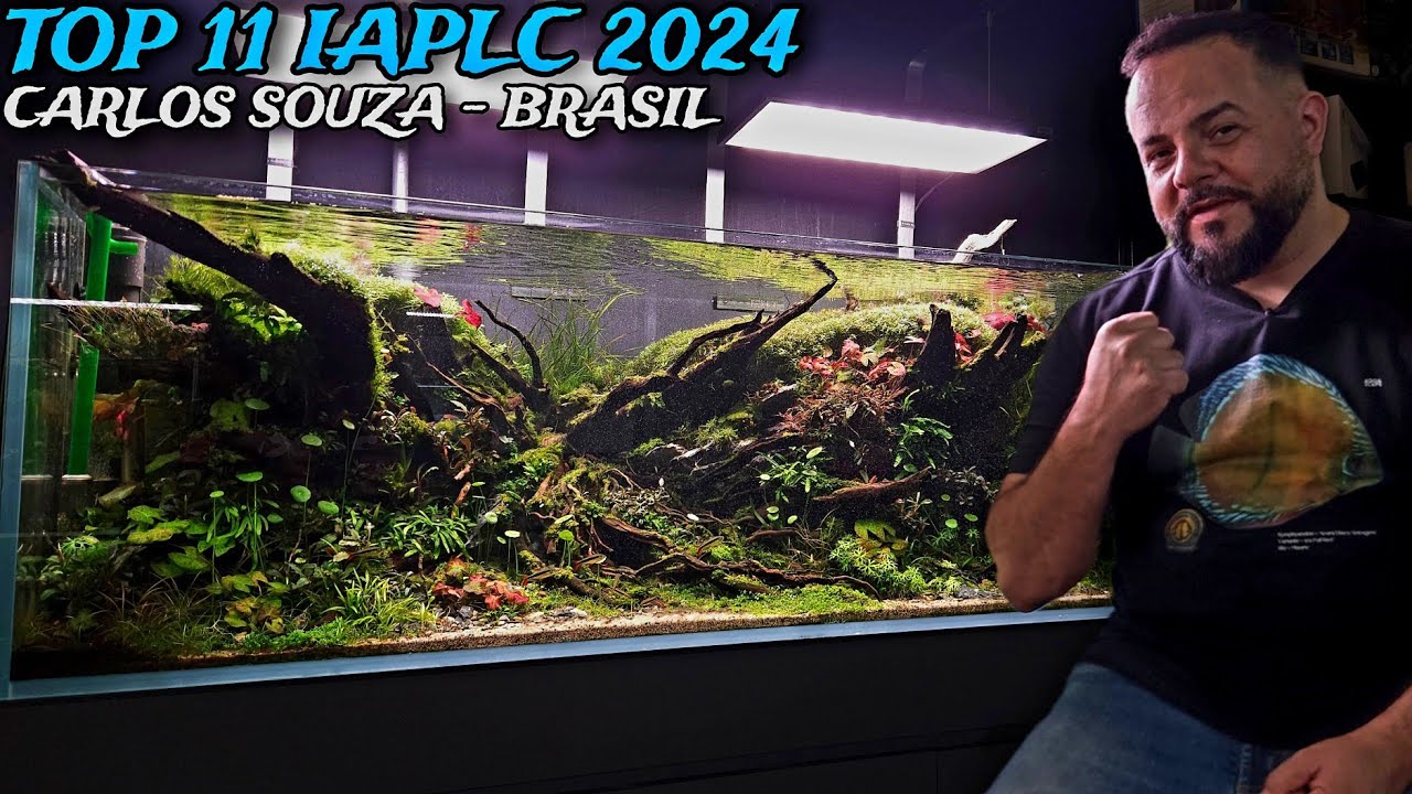 TOP 11 IAPLC 2024 - AQUÁRIO PANTANAL 150x60x50 DE CARLOS SOUZA DO BRASIL!