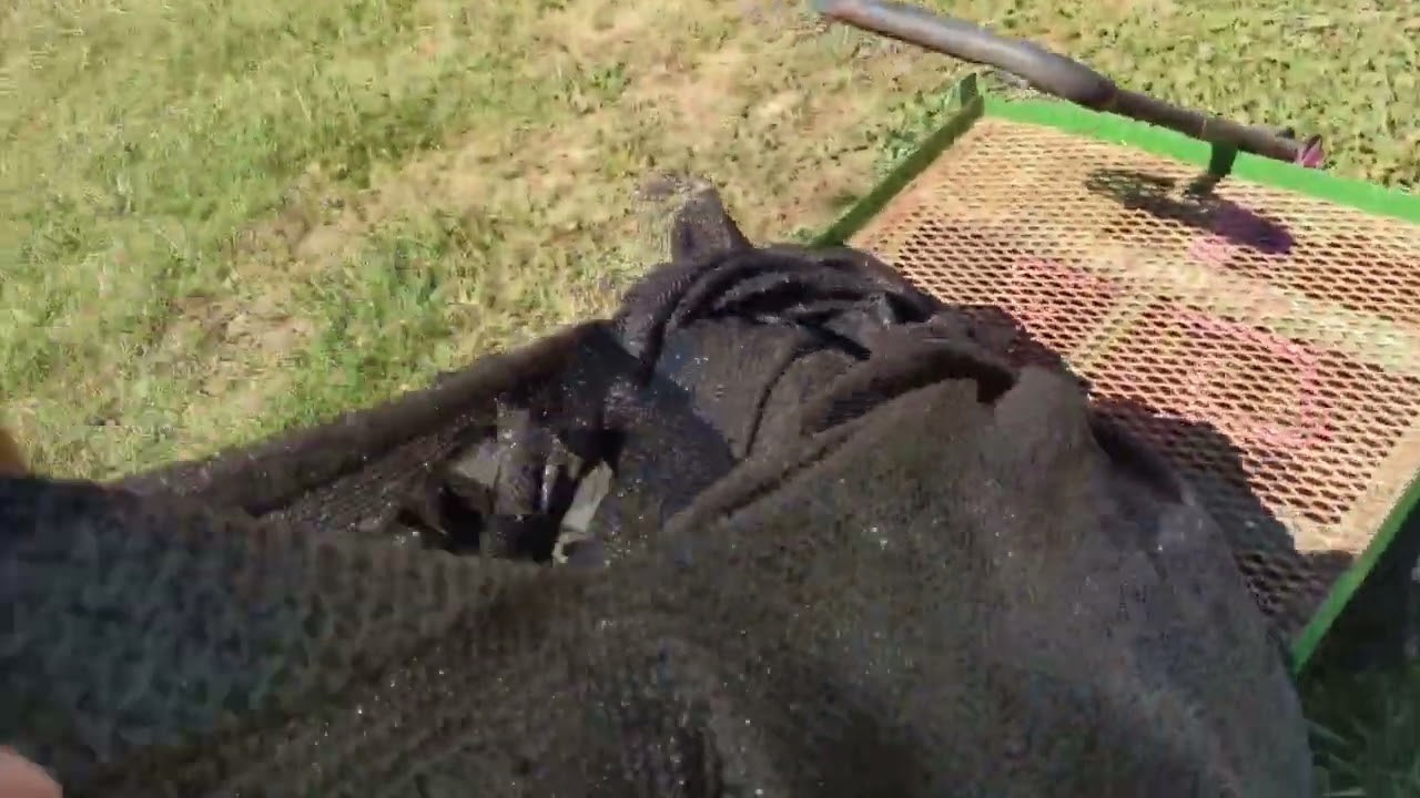 Heat Tragedy on the Homestead