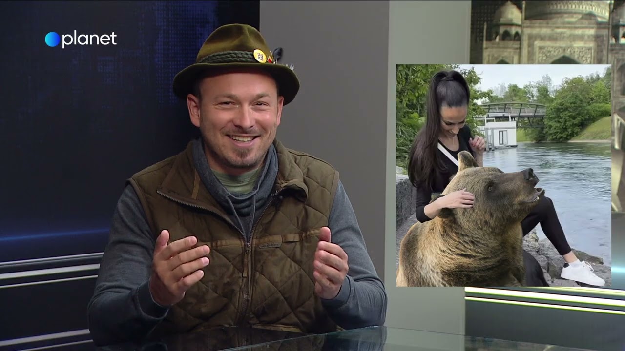 Ta teden: Marko Žerjal o problemih z medvedi