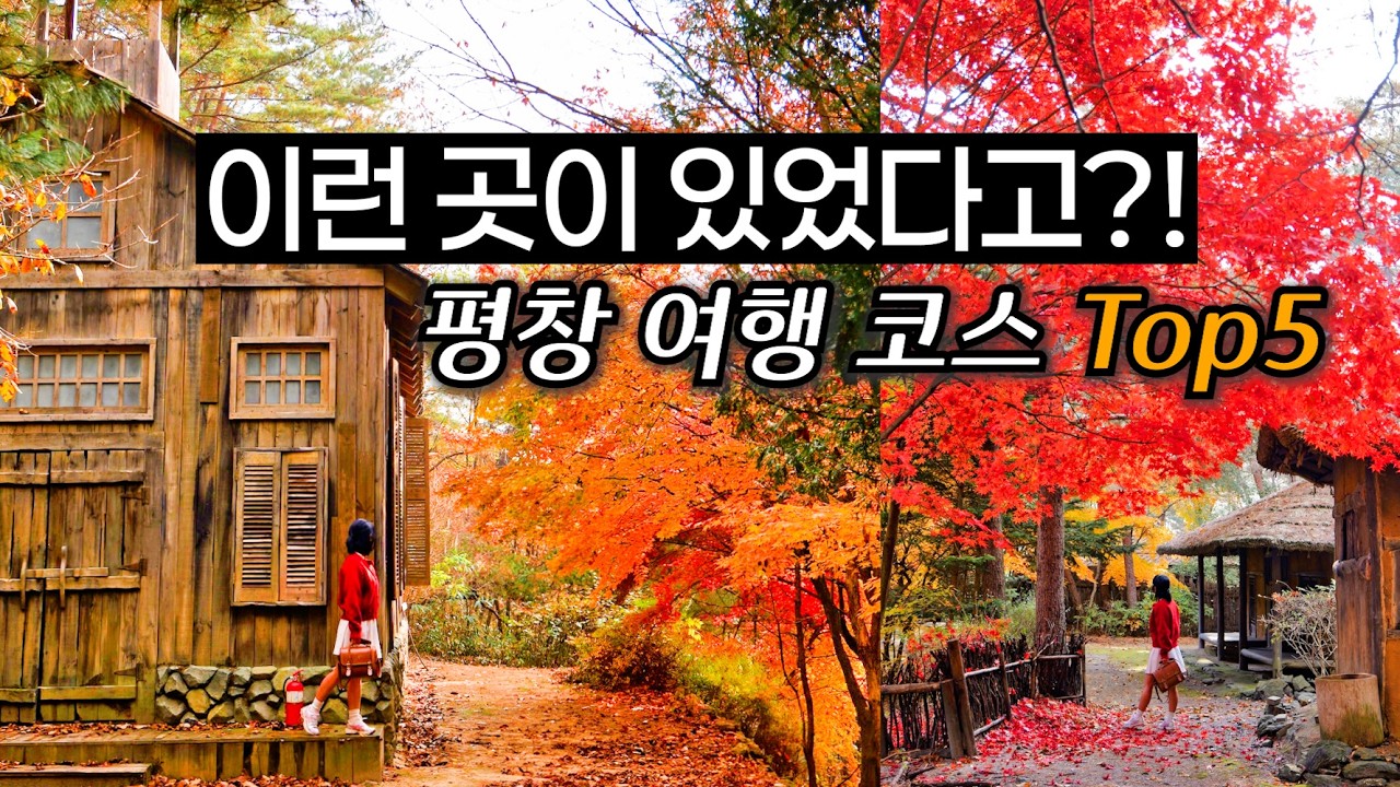 이런 곳이 있었다고? 강원도 평창 숨겨진 여행 코스 5 평창 가볼만한곳부터 맛집까지 (숨은 여행지 목장, 인생 사진 명소, 동굴 등)