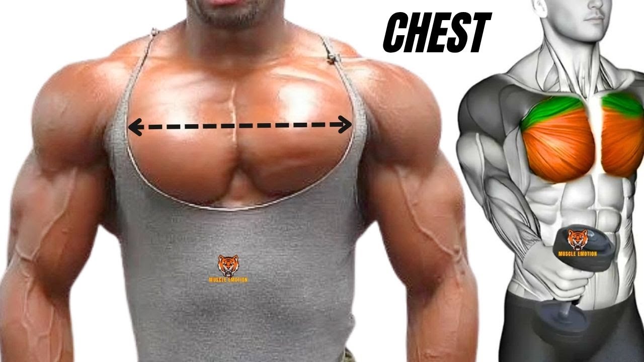 4 BEST CHEST WORKOUT AT GYM / MUSCULATION DE LA POITRINE
