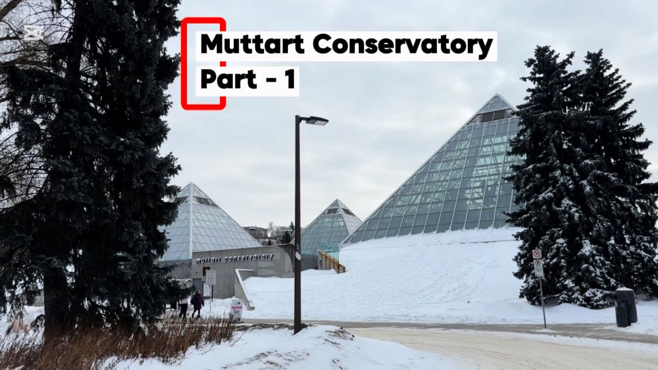 Nature Under Glass 🌿 Muttart Conservatory Edmonton | Part 1 #yeg #nature #botanicalgarden 