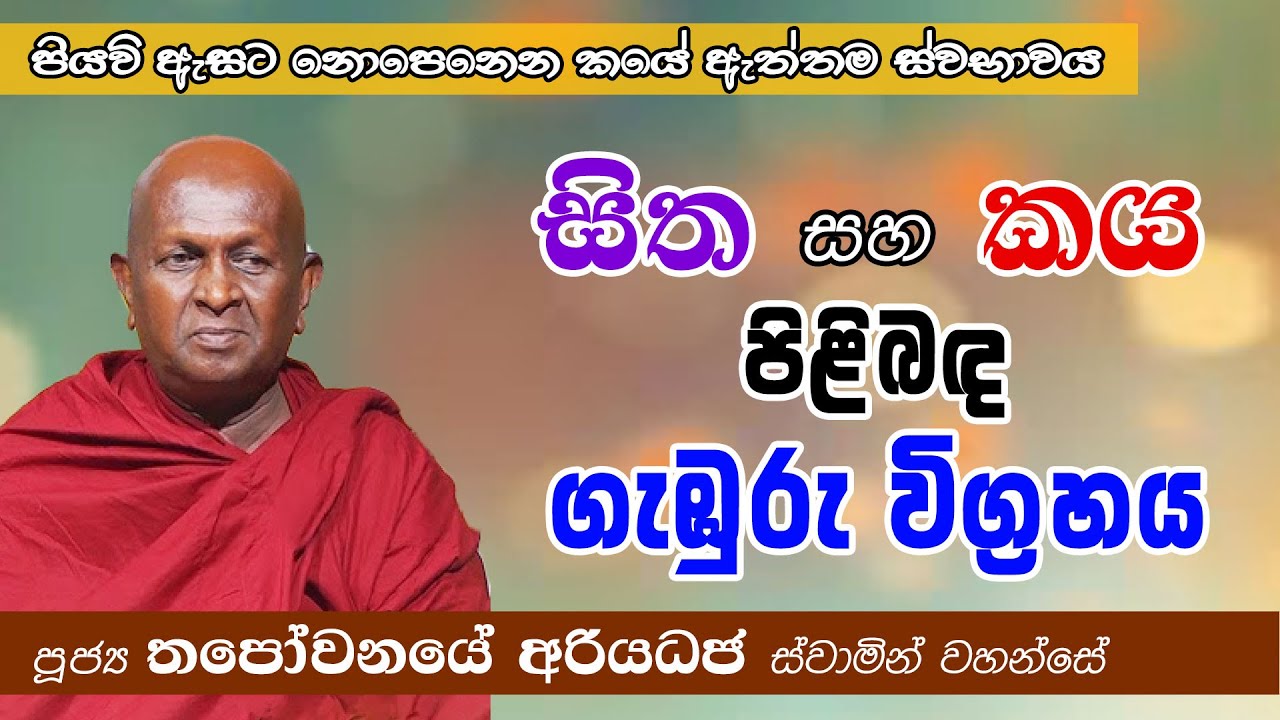 සිත සහ කය පිළිබඳ ගැඹුරු විග්‍රහය│පියවි ඇසට නොපෙනෙන කයේ ඇත්තම ස්වභාවය│පූජ්‍ය තපෝවනයේ අරියධජ හිමි